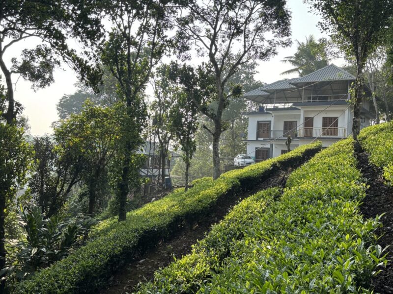 Tea Haze Cottage Munnar