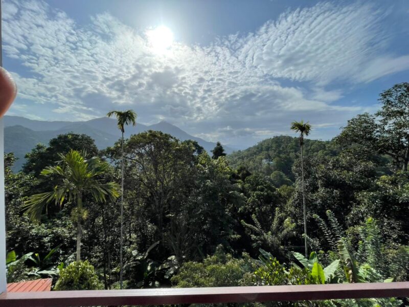 Jyothis Homestay Munnar