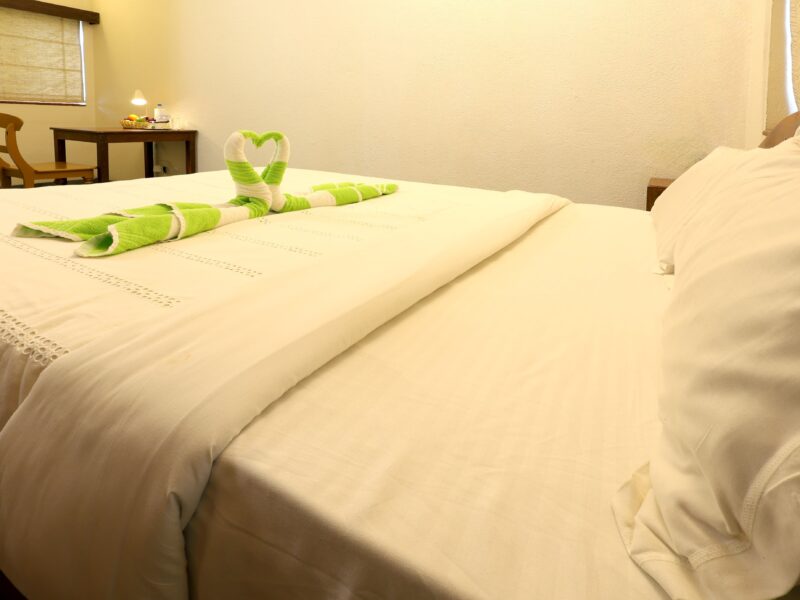 2 Bedroom - Jade Munnar